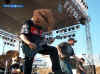 Picture 014.jpg (80659 Byte)