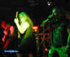 cropment5.jpg (63397 Byte)