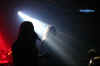 dew-scented_ZH12.jpg (41349 Byte)