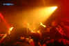 dew-scented_ZH13.jpg (50317 Byte)