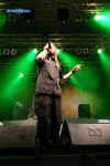 ES-inflames13.jpg (77294 Byte)