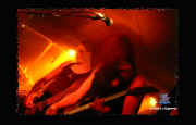atritas1_mehsuff2010.jpg (74424 Byte)