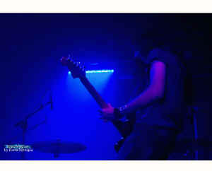 alcest_s.jpg (40726 Byte)