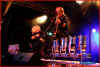 manegarm03_s.jpg (111322 Byte)
