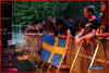 manegarm_fans.jpg (139978 Byte)