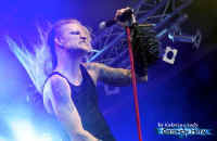 mehsuff2012 313 Kampfar.jpg (27418 Byte)