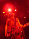 HFG11.jpg (40213 Byte)