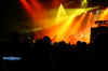 rage_metaldayz_06_10.jpg (41074 Byte)