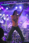 society1_vevey05_10.jpg (65108 Byte)
