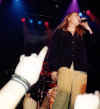DTG21.jpg (41293 Byte)