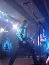 DORO10.jpg (55578 Byte)
