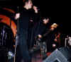 PLT24.jpg (28029 Byte)