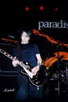 PLT25.jpg (32563 Byte)