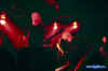 tourturing_europe_zuerich_god_dethroned_17.jpg (47550 Byte)